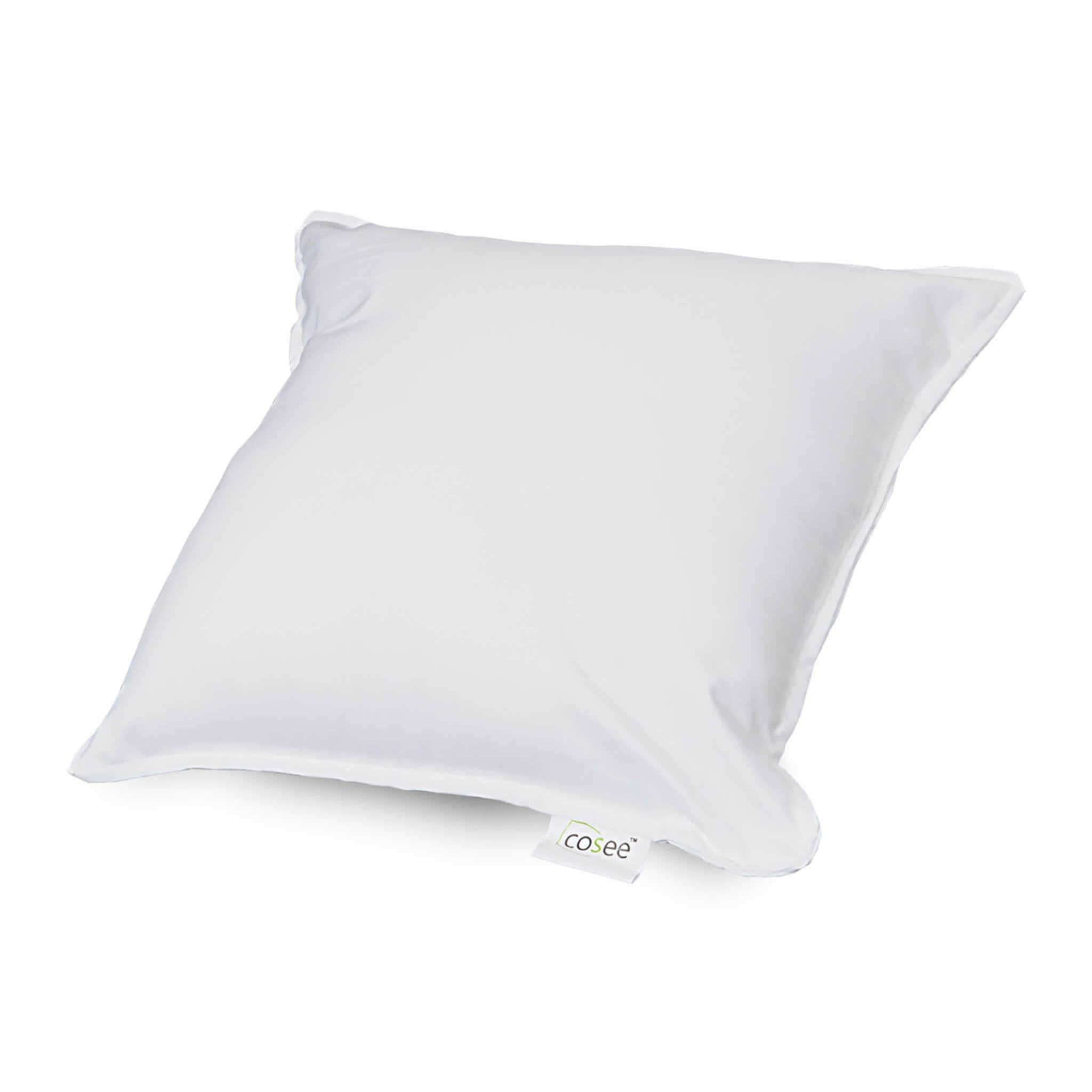 Cushions 2025 fillers online